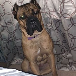 Meet your Posher, Rob